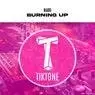 Cover Image for Burning Up Original Mix