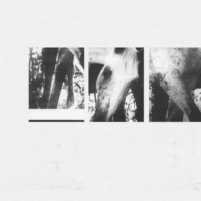 Cover Image: JK Flesh - Veneer of Tolerance Remixes - EP Remixes on KR3 records