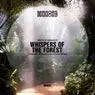 Cover Image for Whispers of the Forest Thomas Hernan & Sa-Moan Remix
