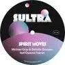 Cover Image for Spirit Moves feat. Dyanna Fearon Extended Mix