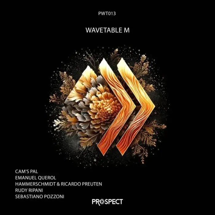 Cover Image: VA - Wavetable M on Prospect Records