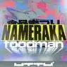 Cover Image for Nameraka Original Mix