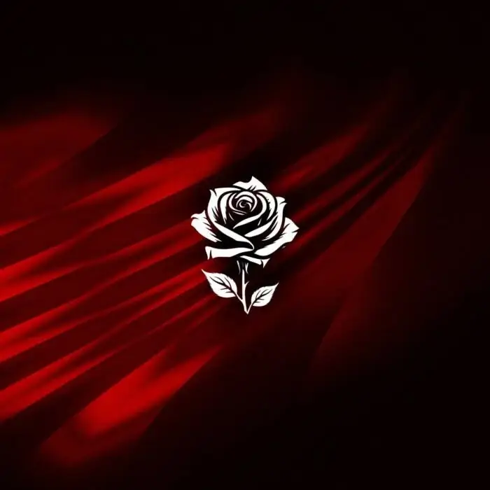 Cover Image: VA - SWVA001 on Spielwerk