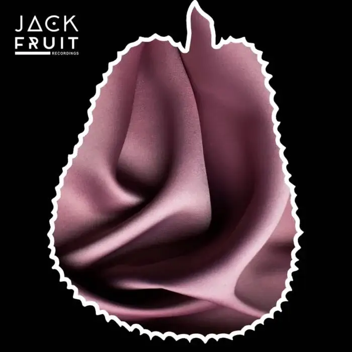 Cover Image: Dompe - Talk to Me on Jackfruit Recordings