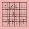 Cover Image for Can U Feel It Extended Mix