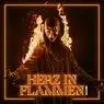 Cover Image for Herz In Flammen Original Mix