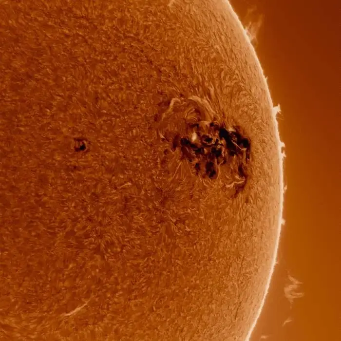 Cover Image: Damne, Nicko Shuo - Dark Forest EP on MindTrip