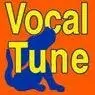 Cover Image for Vocal Tune Original Mix
