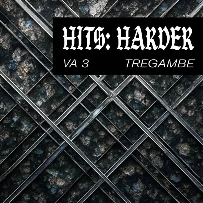 Cover Image: VA - Hits: Harder VA 3 on TREGAMBE