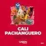 Cover Image for CALI PACHANGUERO Extended Mix