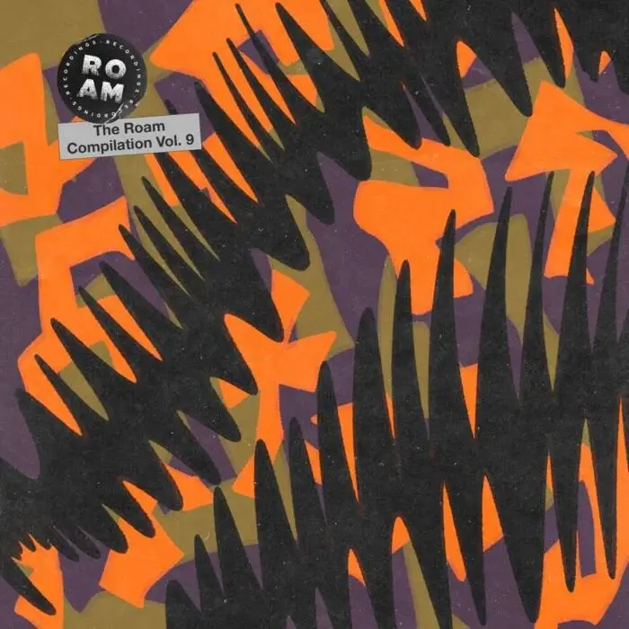 Cover Image: VA - The Roam Compilation, Vol. 9 on Roam Recordings