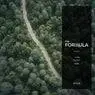Cover Image for The Formula Original Mix