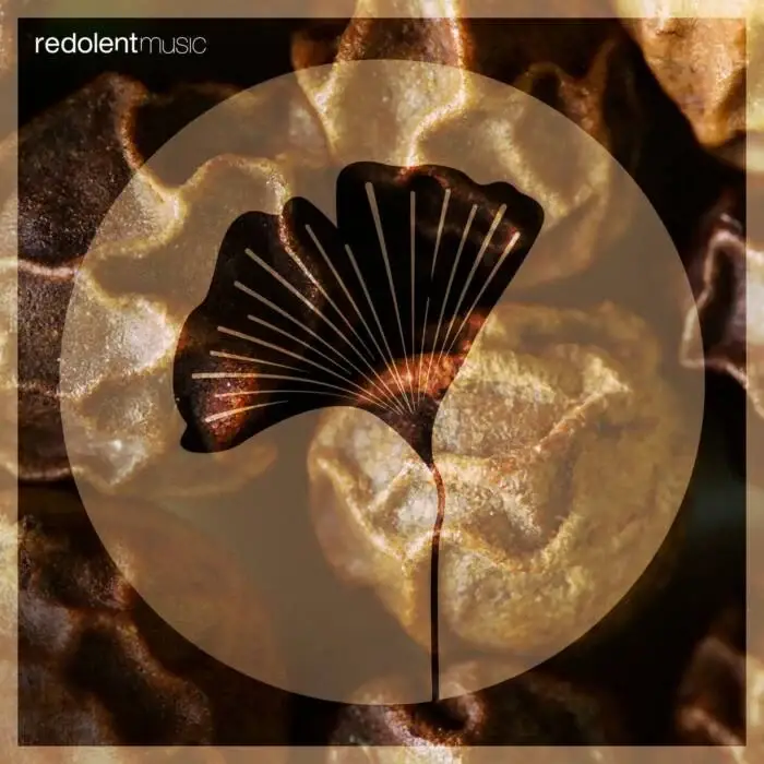 Cover Image: La Santa, Craig Leo, Ivan Romero - Amohana-Olokun on REDOLENT