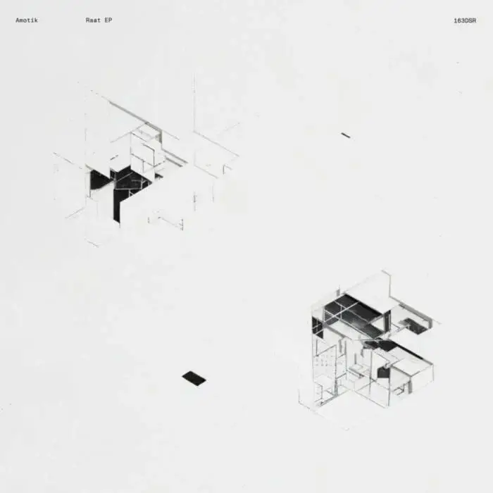 Cover Image: Amotik - Raat EP on Delsin Records