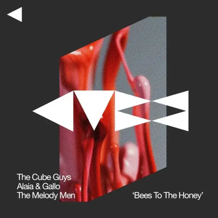 Cover Image: The Cube Guys, Alaia & Gallo, The Melody Men - Bees To The Honey (Original Mix) on Cube Recordings