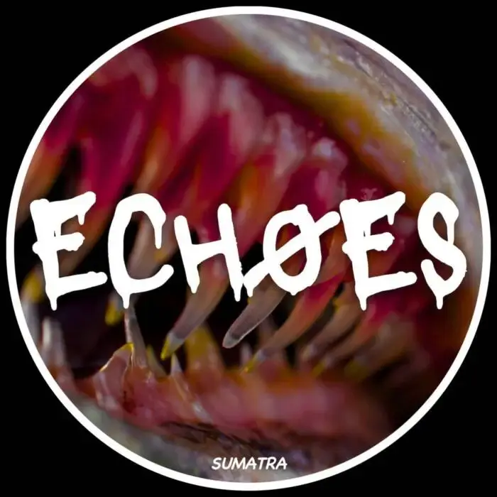 Cover Image: Sumatra - Echoes on DSR Digital