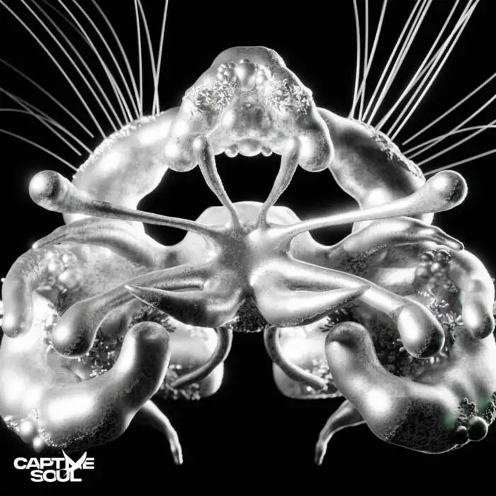 Cover Image: Rafael Cerato, MORGANJ - Slow Down on Captive Soul