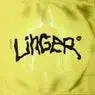 Cover Image for Linger Original Mix