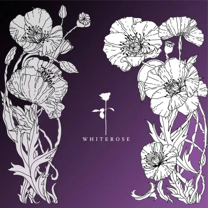 Cover Image: Henson, Mike Gannu - Darkness on White Rose Recordings