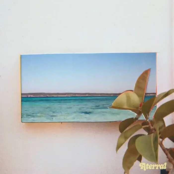 Cover Image: VA - V on Aterral