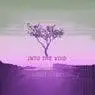 Cover Image for Into The Void Original Mix