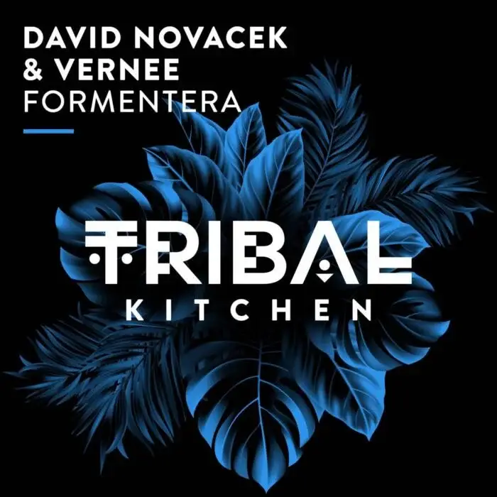 Cover Image: David Novacek, Vernee - Formentera on Tribal Kitchen