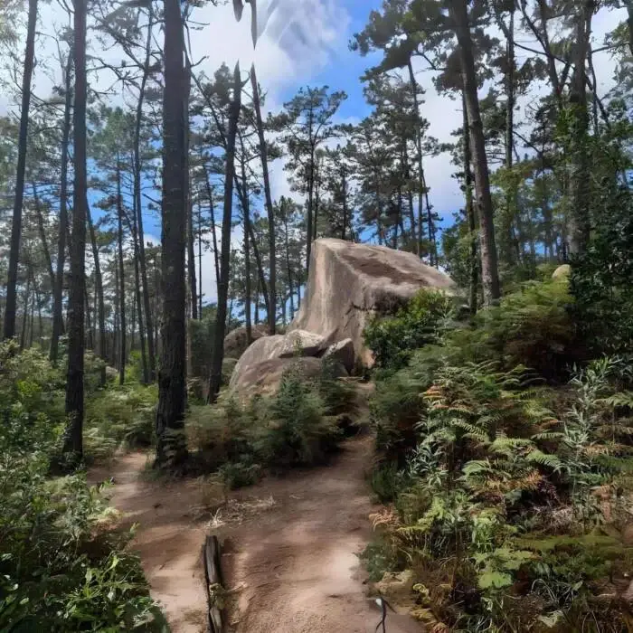 Cover Image: Parajekt - Parajekt on Palazzo Recordings