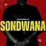 Cover Image for Drumming in Sondwana Original Mix