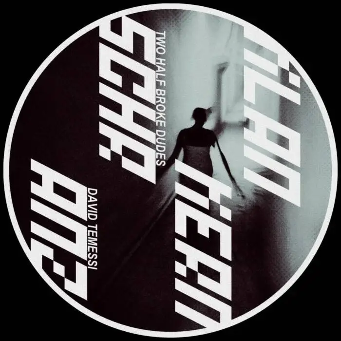 Cover Image: David Temessi, Two Half Broke Dudes - Klankernschranz on DSR Digital