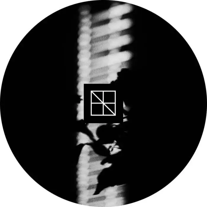 Cover Image: Roi - Dear Seve on Abstraction