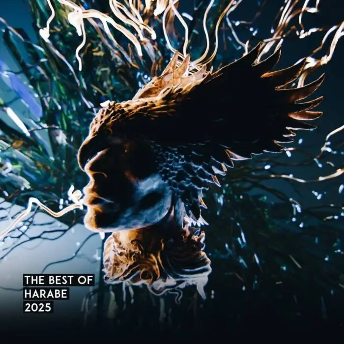 Cover Image: VA - Best of the Year on Harabe