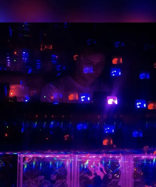 Terrestrial Access Network