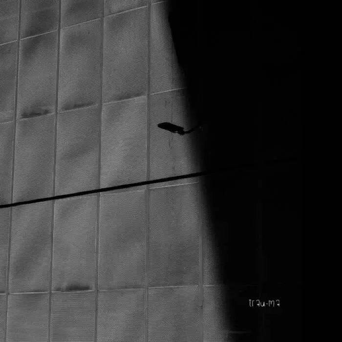 Cover Image: Stigmatique - Cyberspace on trau-ma