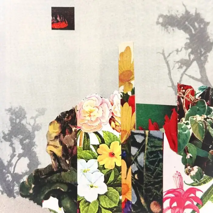 Cover Image: Harris Cole, Shrimpnose - Soothsayer on Nettwerk Music Group