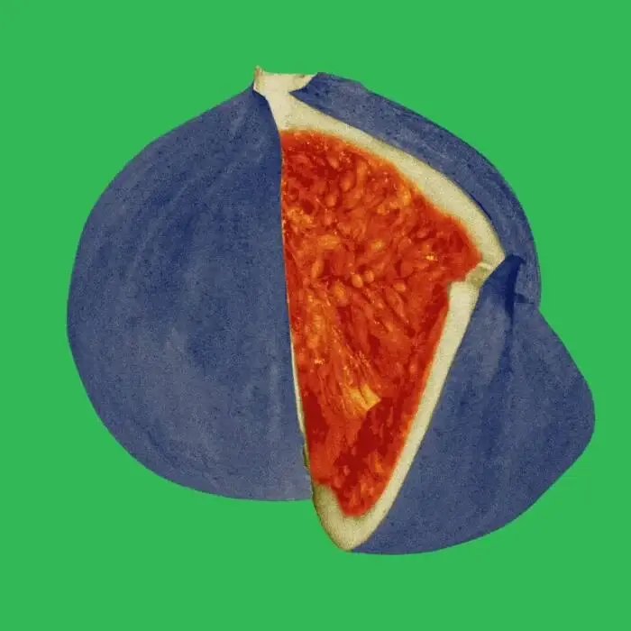 Cover Image: VA - Shir Khan Presents Welt Am Draht 2025 on Exploited