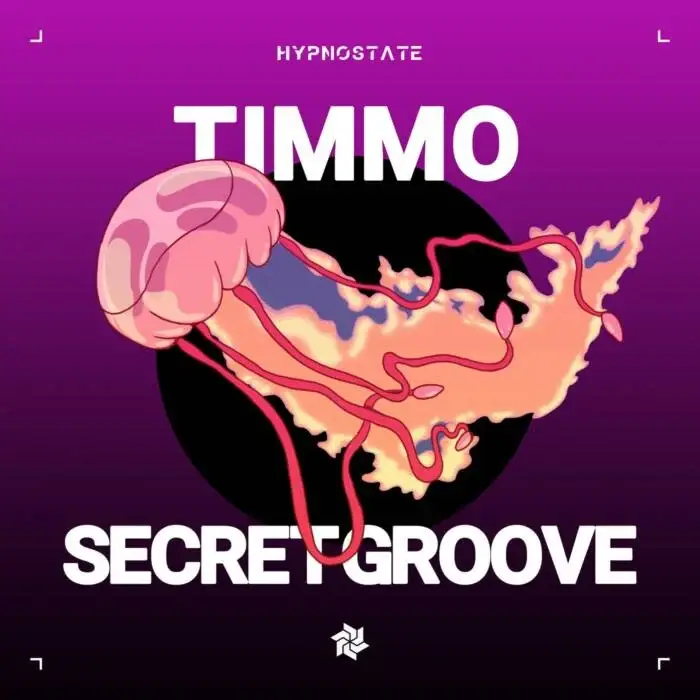 Cover Image: Timmo - Secret Groove on Hypnostate