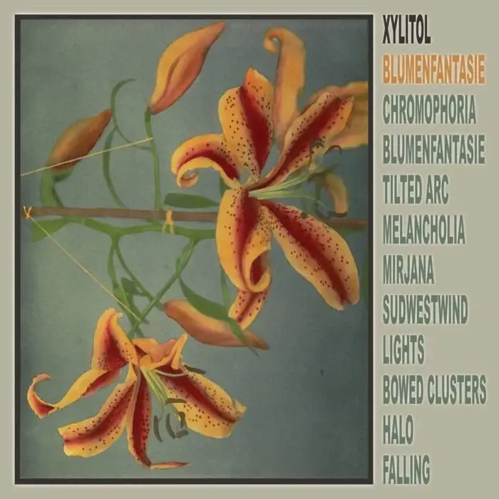 Cover Image: Xylitol - Lights on Planet Mu