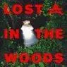 Cover Image for Lost In The Woods Extended Mix