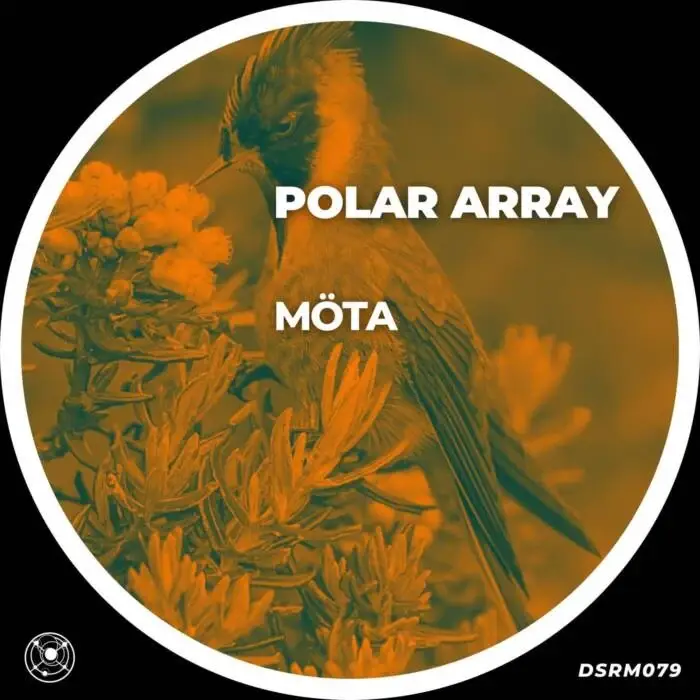 Cover Image: MOTA - Polar Array on Despair Scape Records