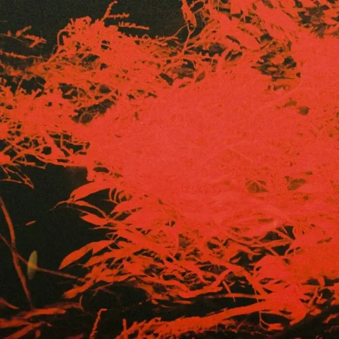 Cover Image: Anthony Naples - In Studio Magic on ANS Recordings (EU)