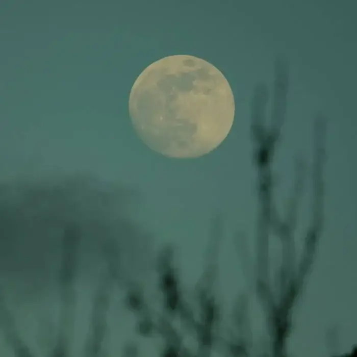 Cover Image: The Green Kingdom - Lunae on ROHS! Records