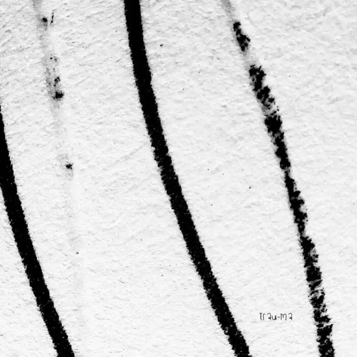 Cover Image: Norberto Lusso - Altered on trau-ma