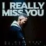 Cover Image for I Really Miss You Original Mix