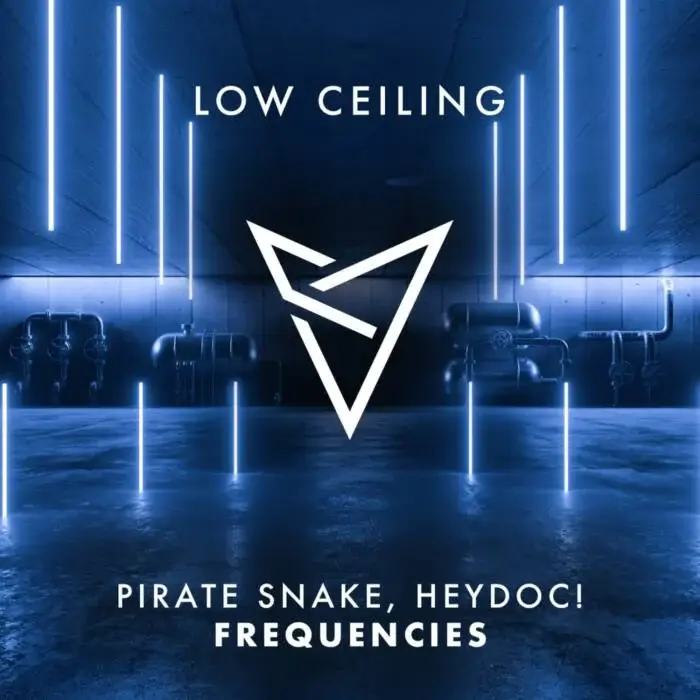 Cover Image: HeyDoc!, Pirate Snake - FREQUENCIES on LOW CEILING