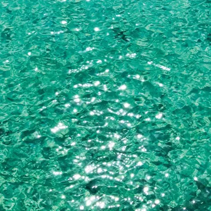 Cover Image: VA - Veiled on WRWTFWW Records