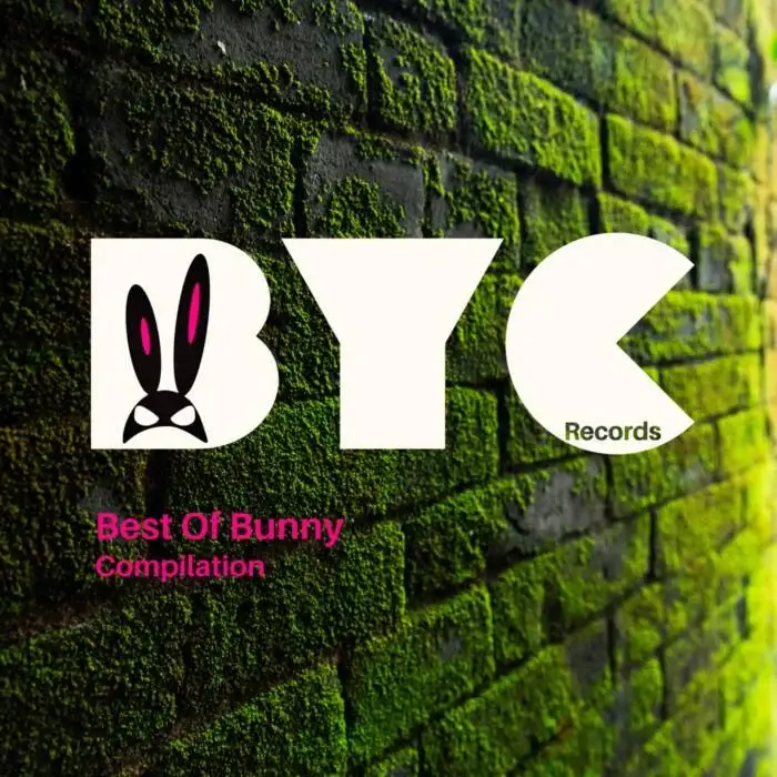 Cover Image: VA - Best Of Bunny on Bunny Clan Records