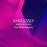 Cover Image for Endlessly Extended