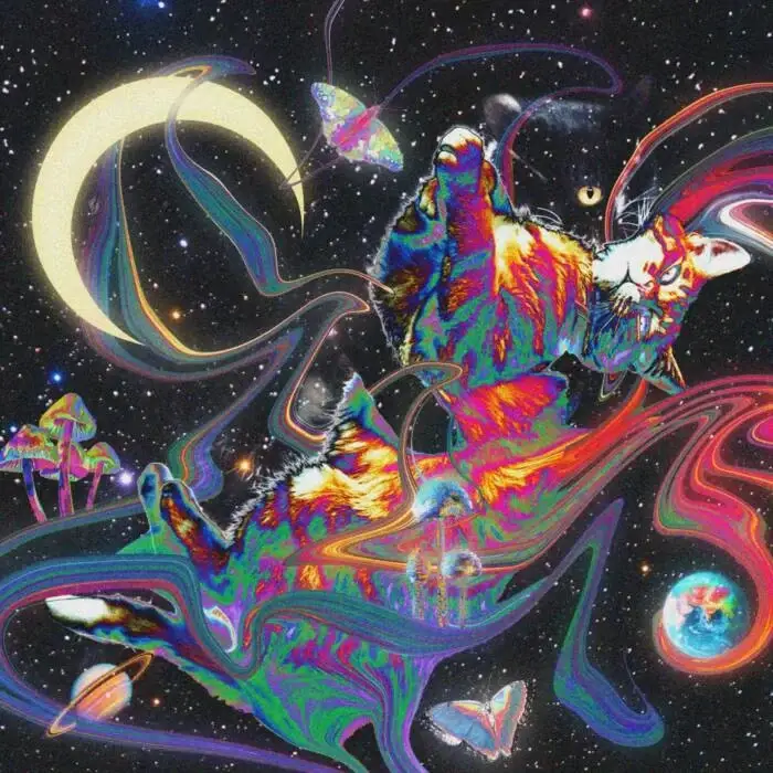 Cover Image: Alexis Cabrera - Nonchalantly on Personality Disorder Music