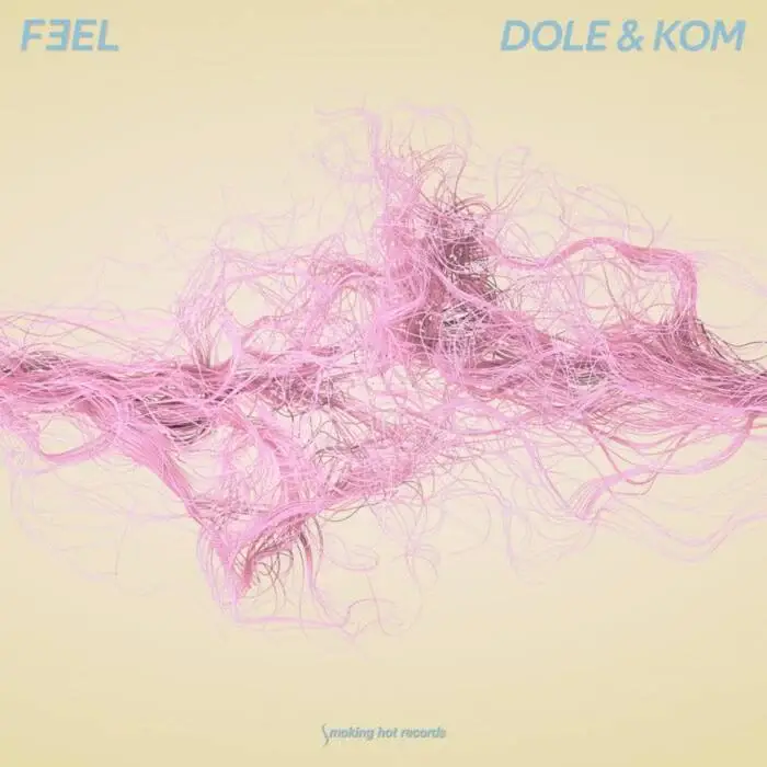 Cover Image: Dole & Kom - Feel on Smoking Hot Records