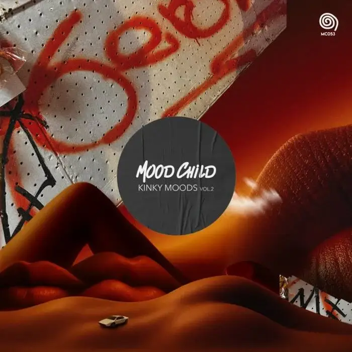 Cover Image: VA - Kinky Moods Vol.2 on Mood Child